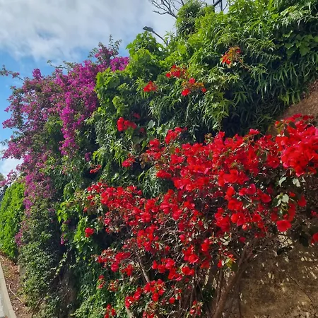 La Bouganville Apartment *