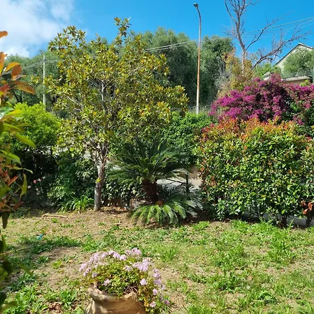 La Bouganville Apartment Imperia