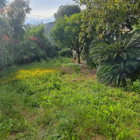 La Bouganville إمبيريا